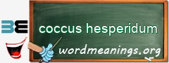 WordMeaning blackboard for coccus hesperidum